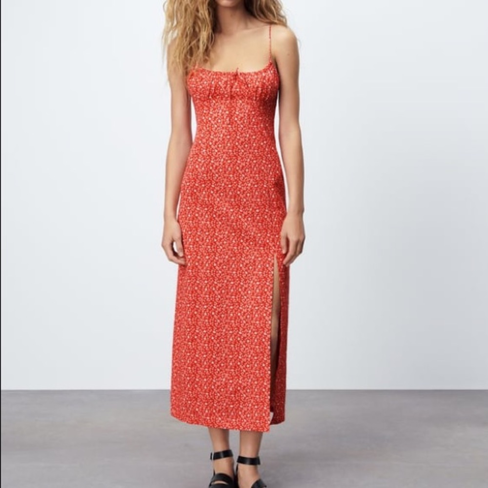 Zara Floral Print Dress